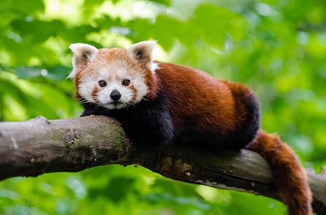 What to Do This Weekend: Visit the Brandywine Zoo
